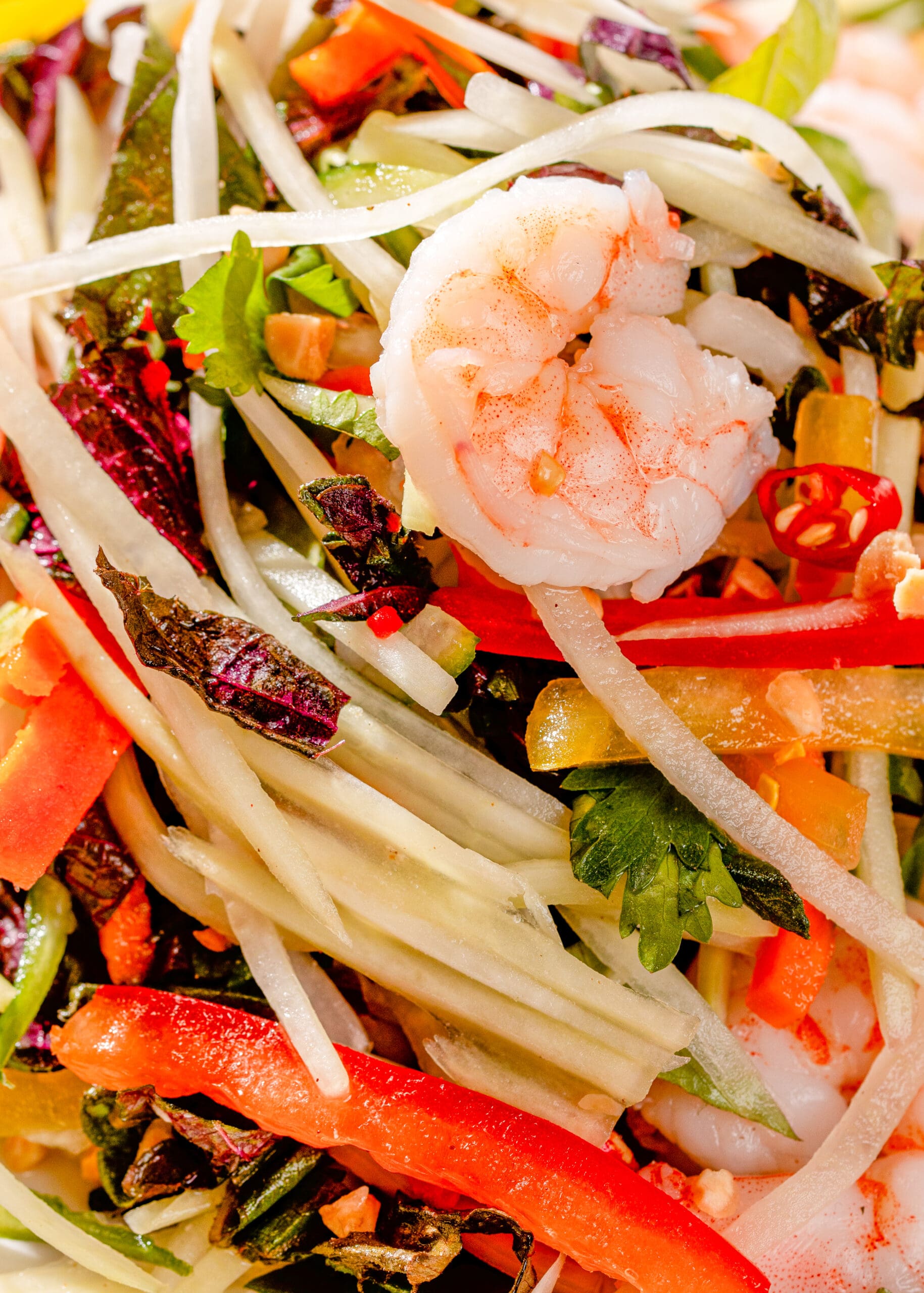 Close-up of a vibrant shrimp salad featuring a mix of sliced cucumbers, carrots, red peppers, and herbs. The dish is colorful and fresh, showcasing a variety of textures and ingredients against a light background.